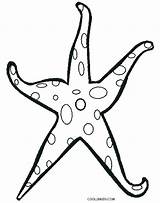 Starfish Coloring Star Drawing Printable Sea Pencil Paintingvalley Cool2bkids Clipartmag sketch template