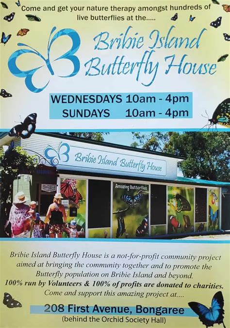 Bribie Island Butterfly House Opening Hours Entry Prices Bongaree Qld