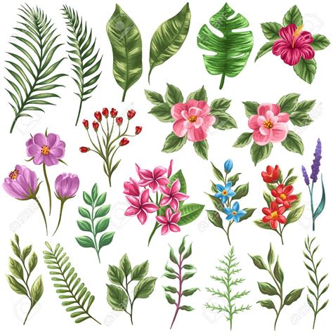 Set Of Traditional And Tropical Flowers And Leaves Stock Vector 36911078 Tropical Flower