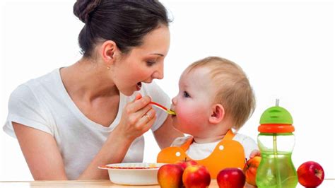 Alimentación Saludable Para Tu Bebé Best Essay Writer