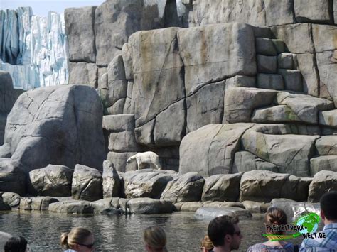 Eisbär - Tierpark Hagenbeck | Freizeitpark-Welt.de