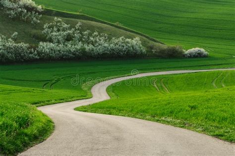 Road Winding Among The Green Hills Stock Photo Image Of Hill View