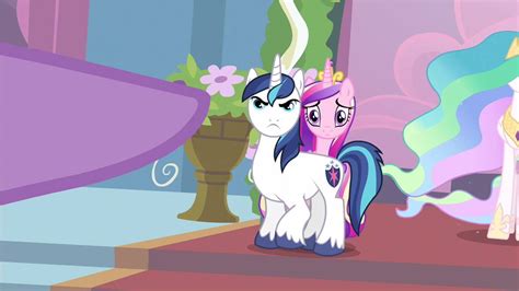 Image Shining Armor Protecting Princess Cadance S2e25png My Little