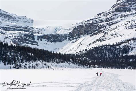 Things To Do In Winter In Banff And Canmore Banffandbeyond