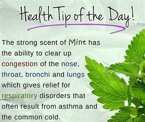 Health Tip Of The Day Health Tips Mint Daily Health Tips Scoopnest