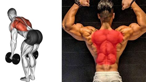 Lower Back Workout At Home With Dumbbells Best Design Idea
