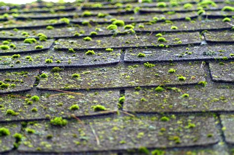 Why You Should Inspect Your Roof What Should You Look For Roof