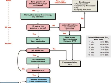 Neonatal Resuscitation Program An Overview Bf2