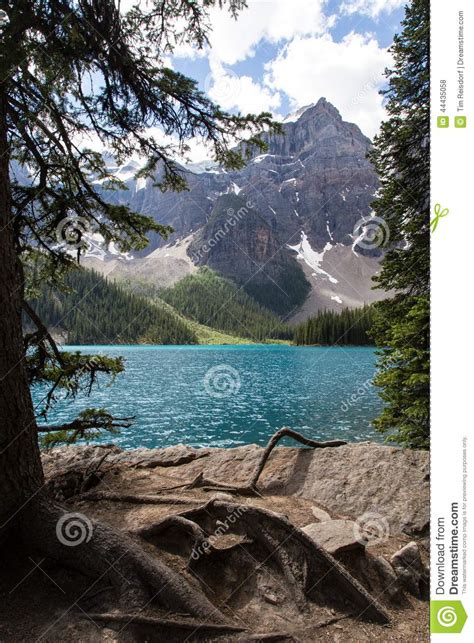 Moraine Lake In The Rocky Mountains Stock Photo Image Of