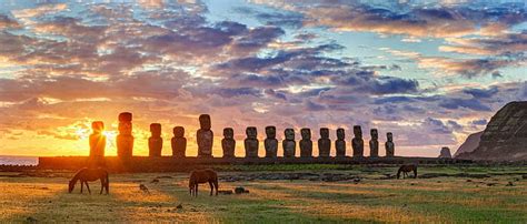 Hd Wallpaper Easter Island Chile Moai Statue Horse Grass Clouds Yellow