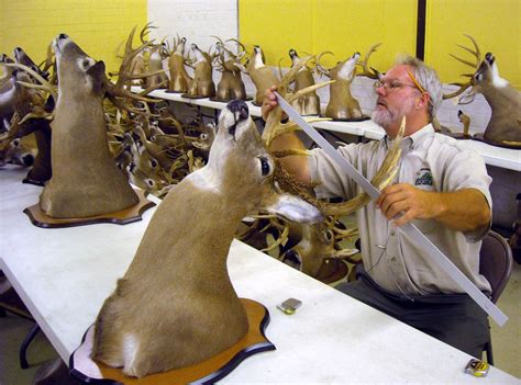 Virginia Deer Kill Numbers Down Greatly This Year Local