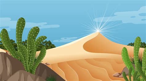 Desert Forest Landscape At Daytime Scene With Various Desert Plants