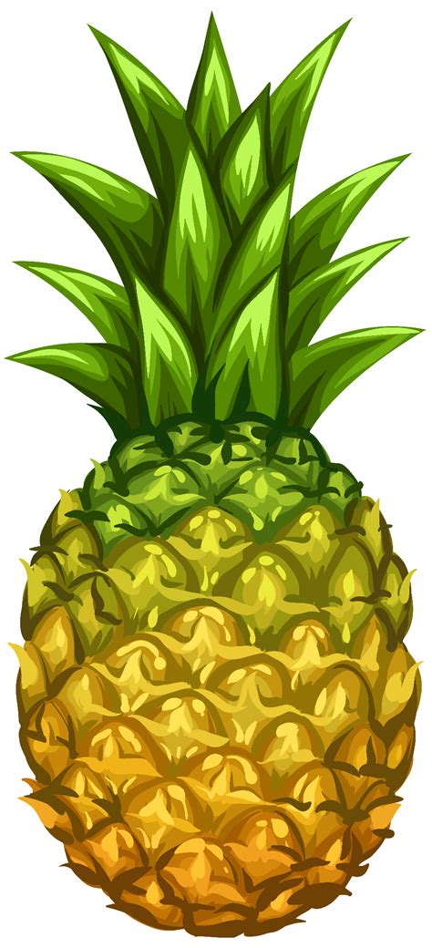 Download High Quality Pineapple Clip Art High Resolution Transparent