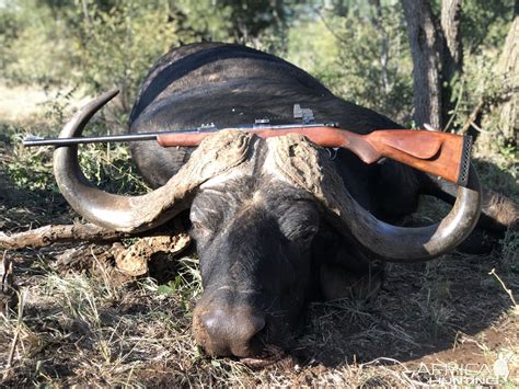 Win A Free South African Hunt Valued At Us6300 For 2 Hunters From