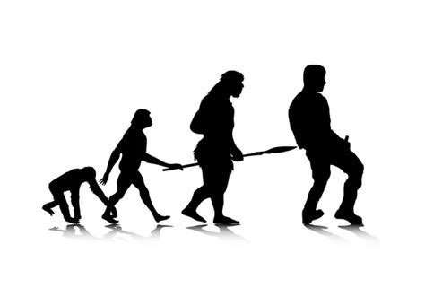 Human Evolution 10 Stock Vector Image By ©gruml 4068907