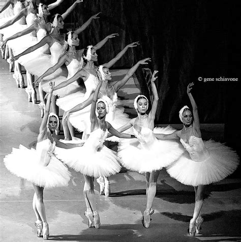Mariinsky Theaters Corps Ballet Saint Petersburg Russia Ballet Dance