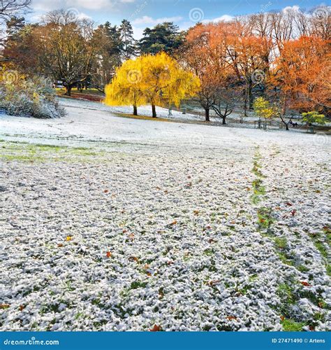 The First Snow In The Autumn Park Stock Photo Image Of Fall Nature