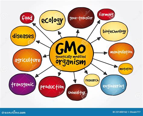 Gmo Genetically Modified Organism Mind Map Concept For Presentations