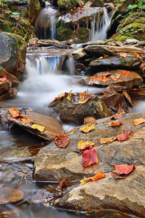 Red Autumn Leaf On A Rock Near A Waterfall Stock Image Image Of Leaf