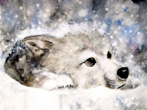 43 Wolf Christmas Wallpaper Wallpapersafari