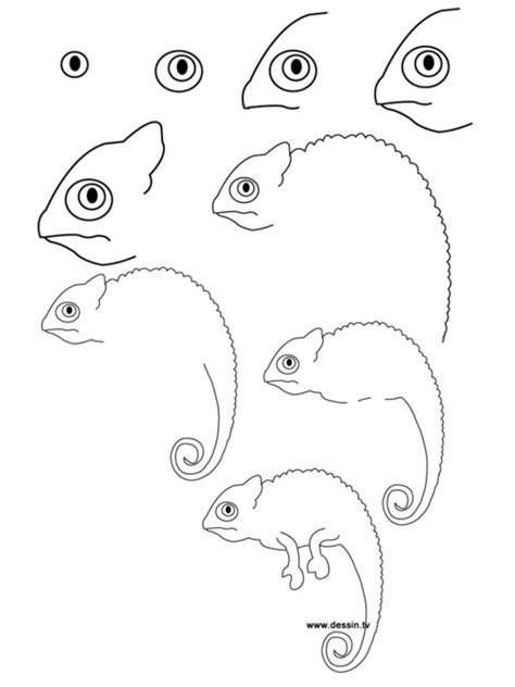 Let's start with an easy drawing of flowers. How To Draw Easy Animals Step By Step Image Guide
