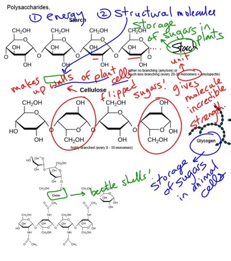 Sticky question prelab part 1: Organic Molecules - Mel Burgess at CALC