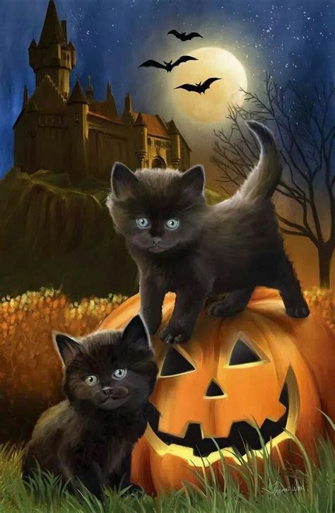 Chats Noirs Black Cat Halloween Halloween Pictures Halloween Images