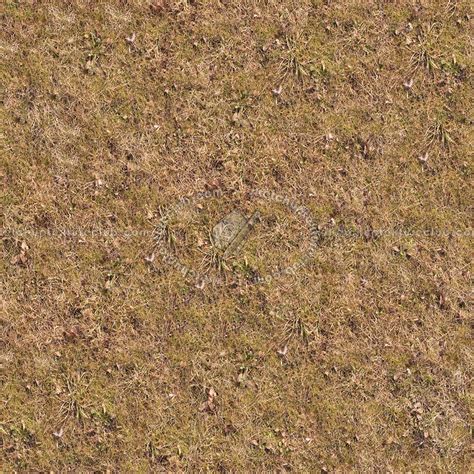 Dry Grass Texture Seamless 12935
