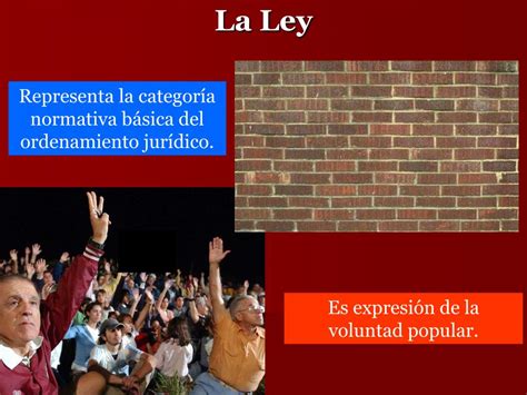 Ppt La Ley Ordinaria Y La Ley Orgánica Powerpoint Presentation Free