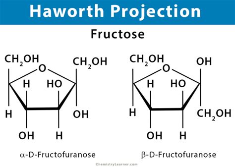 Haworth Projection Definition Illustration And Examples
