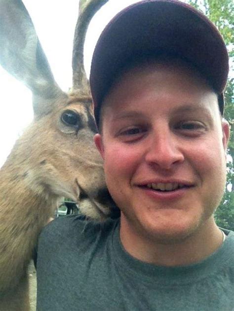 Best Animal Photobombs Of All Time Barnorama