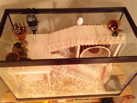 Hamster Cage Diy Aquarium Conversion Hamster Diy Diy Hamster Toys