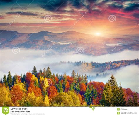 Colorful Autumn Scene In Carpathian Mountains Stock Photo Image Of