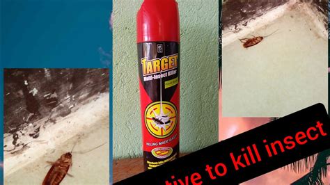 Target Multi Insect Killer Youtube