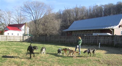 Photo Album The Farm At Natchez Tracethe Farm At Natchez Trace