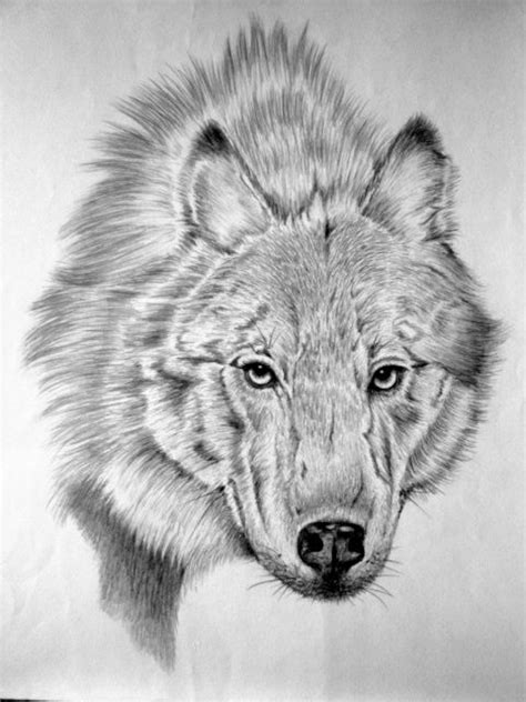 I Draw Wild Animal Faces And I Do Art Shows And License Some Of My