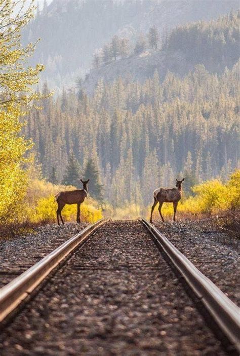Compare prices for trains, buses, ferries and flights. Pin by Michael Queen on Nature | Nature, Wonders of the ...