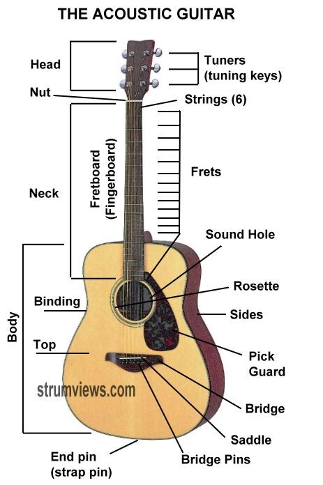 Maybe you would like to learn more about one of these? Basic Acoustic Guitar Lesson #1 - Parts of the Guitar | A2Z Homeschooling