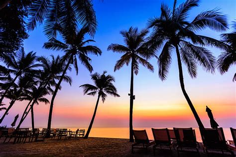 Hd Wallpaper Sea Beach Summer Sunset Palm Trees Shore Silhouette