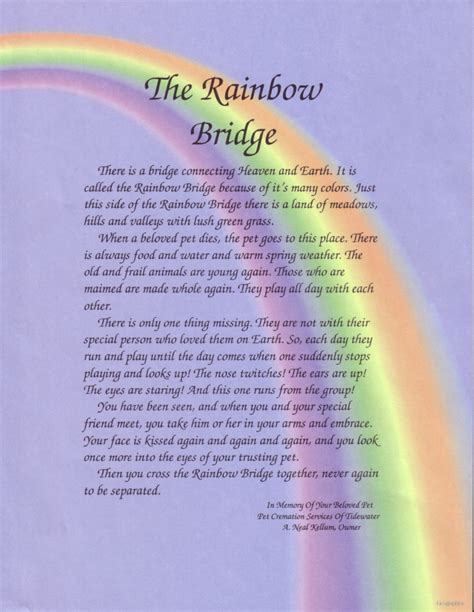 Although there are several versions of the rainbow bridge poem and the author of the poem is not exactly known all versions have helped ease the pain. Trav's Thoughts: That day