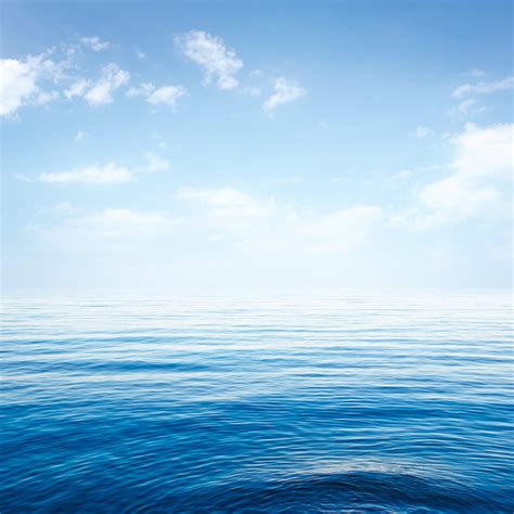 Blue Calm Sea Stock Photo Free Download