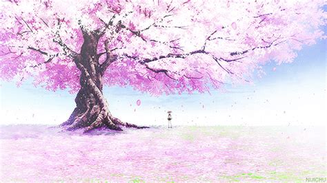 Cherry Blossom Tree Anime 