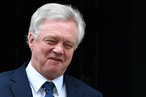 David Davis In Climbdown As He Says Ministers Expect And Intend Mps