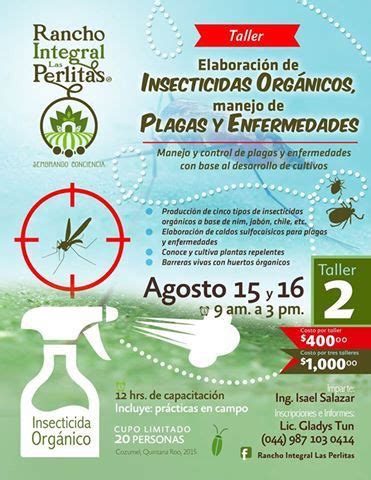 Segundo Taller Como Hacer Insecticidas Organicos Manejo De Plagas