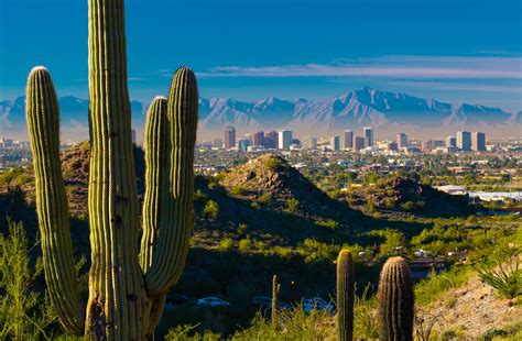Phoenix Skyline And Cactuses 2060 Digital