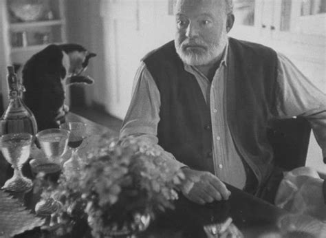 26 Interesting Vintage Photos Of Ernest Hemingway With His Beloved Cats