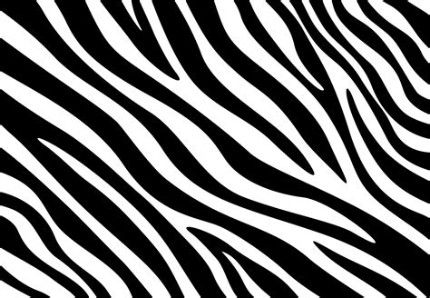 Zebra Print Zebra Spots Zebra Patterns Graphic By Rujstock · Creative