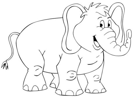 Check spelling or type a new query. Mewarnai Gambar Binatang, Hewan dan Tumbuhan Untuk Anak TK ...