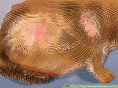 Other conditions are of more immediate concern. How to Diagnose Seasonal Allergies in Cats (with Pictures)
