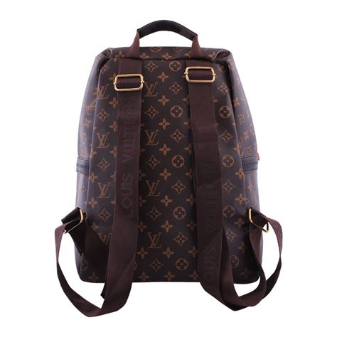 Louis Vuitton Female Backpack Mod